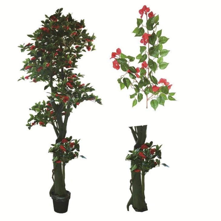 غلط بوگن درخت