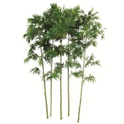 مصنوعی بانس کاناس