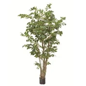 بونسائی مصنوعی بانی درخت