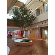 تقریبا قدرتی فاکس درخت